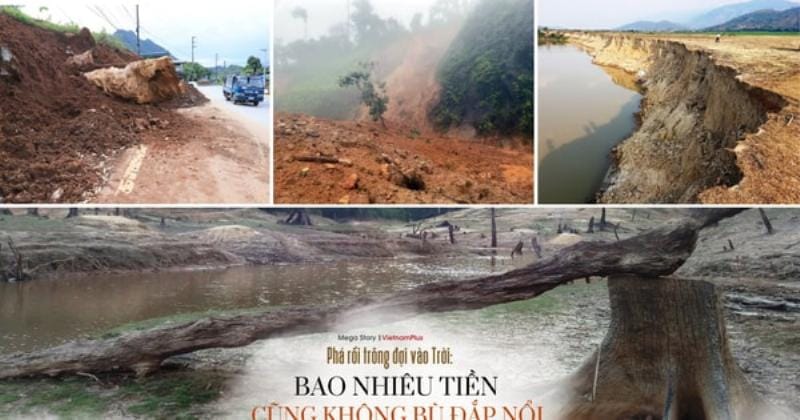 Hậu quả nghiêm trọng của sạt lở đất do mất ổn định sườn đồi gây ra cho nhà cửa và cây cối